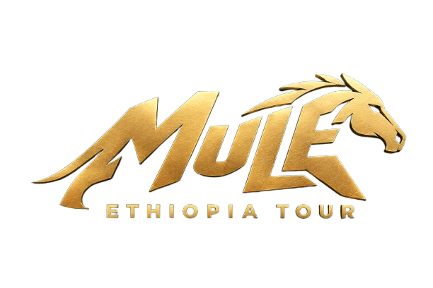 Mule Ethiopia Tour