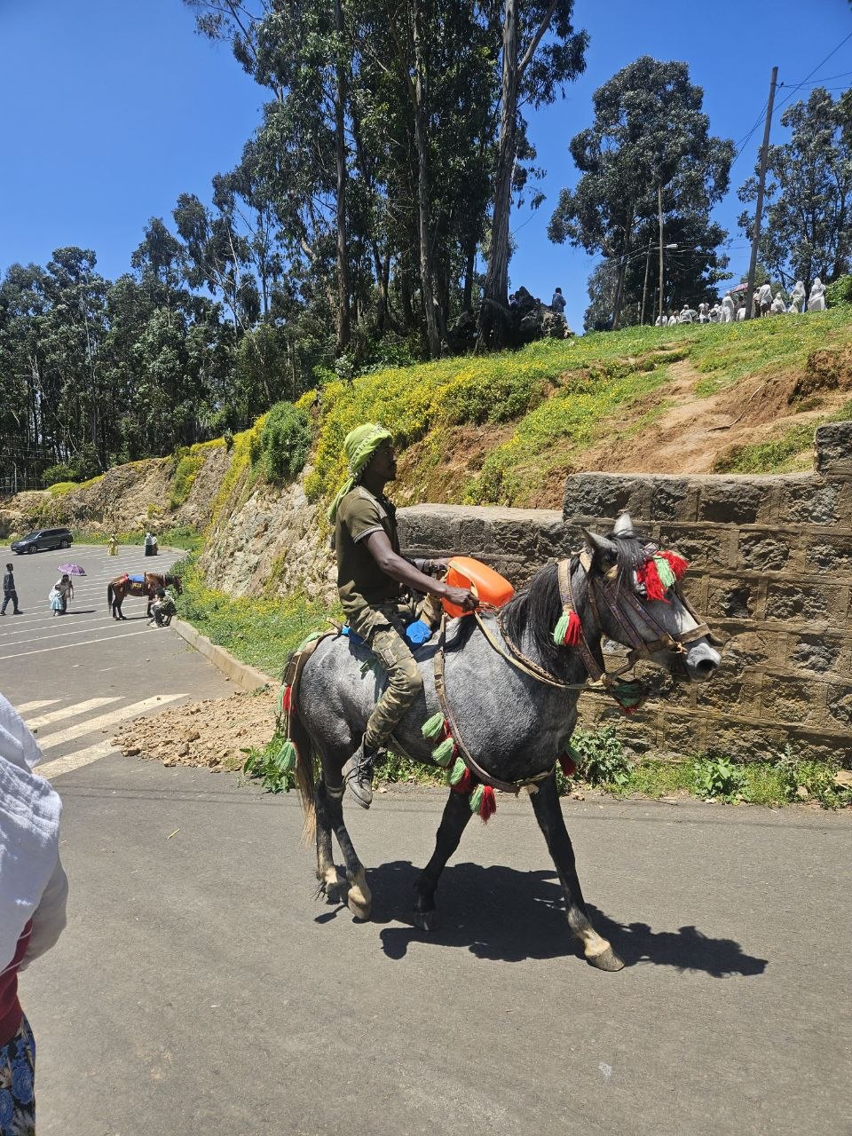 Trekker overlooking the Simien Mountains escarpment