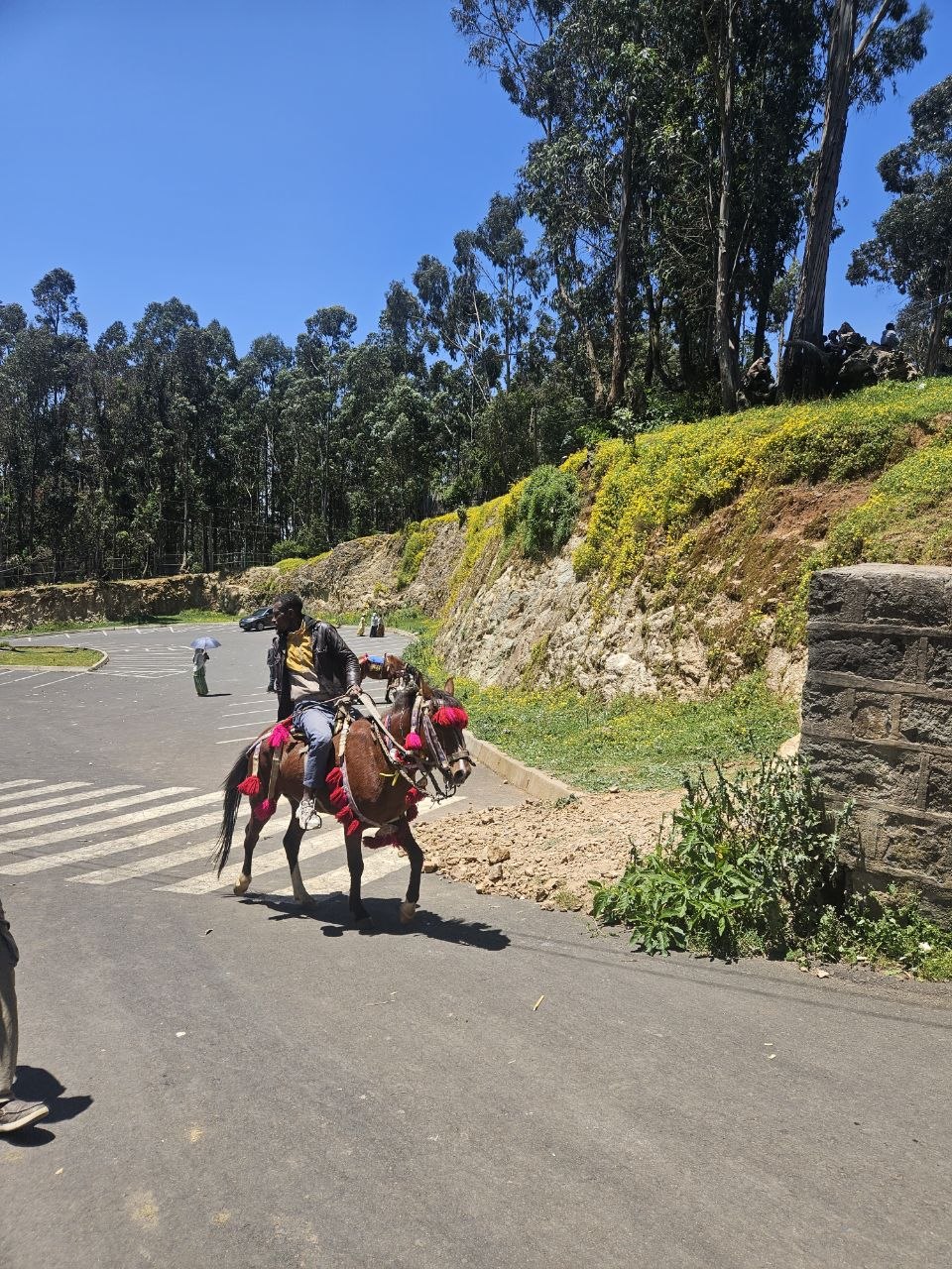 A guide trekking in the Simien Mountains