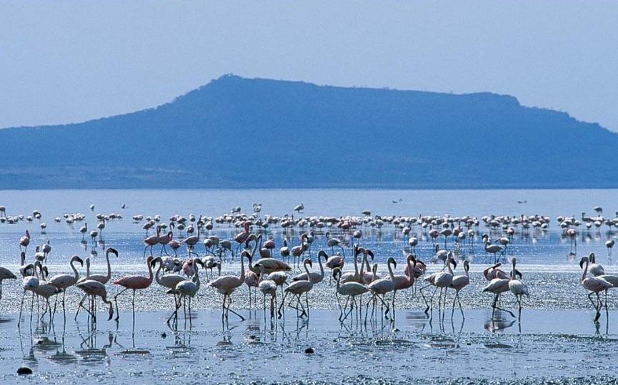 A Paradise for Birdwatchers