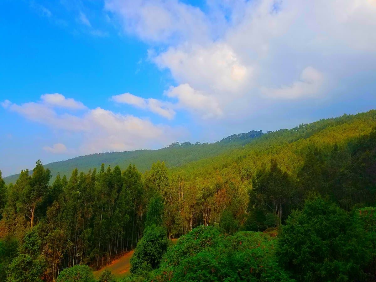 Addis Ababa Skyline & Mount Entoto