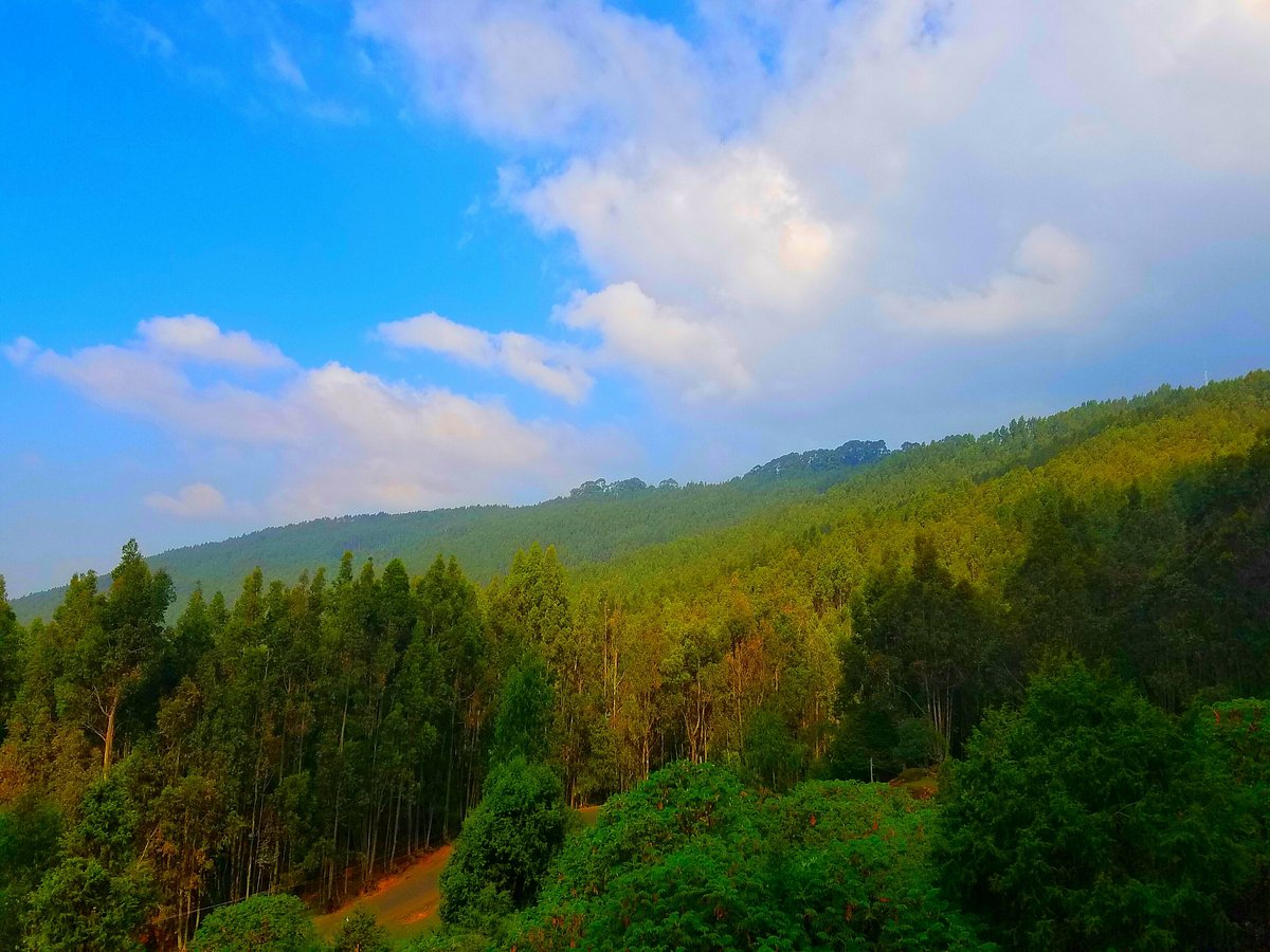 Addis Ababa