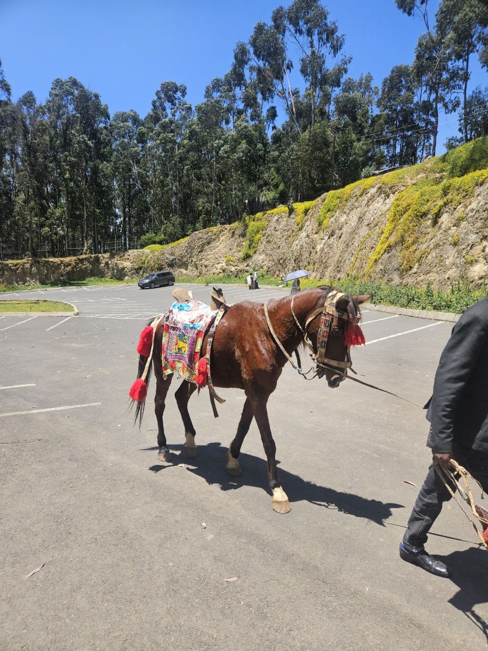 Trekking in the Simien Mountains